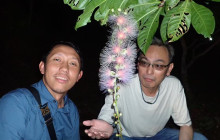 ISHIGAKI ADVENTURE PiPi16