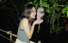 ISHIGAKI ADVENTURE PiPi17
