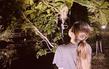 ISHIGAKI ADVENTURE PiPi18