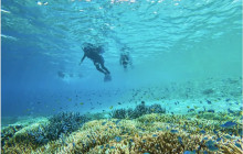 IRIOMOTE ADVENTURE PiPi1