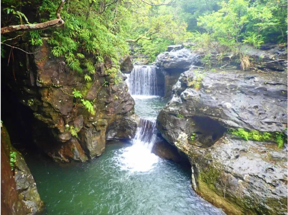 Mangrove SUP or Kayak Cruise and Splash Canyoning Adventure
