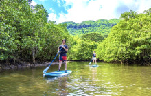 IRIOMOTE ADVENTURE PiPi4