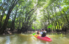 IRIOMOTE ADVENTURE PiPi6