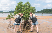 IRIOMOTE ADVENTURE PiPi17