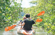 IRIOMOTE ADVENTURE PiPi21