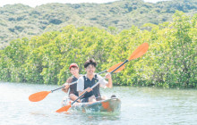IRIOMOTE ADVENTURE PiPi23