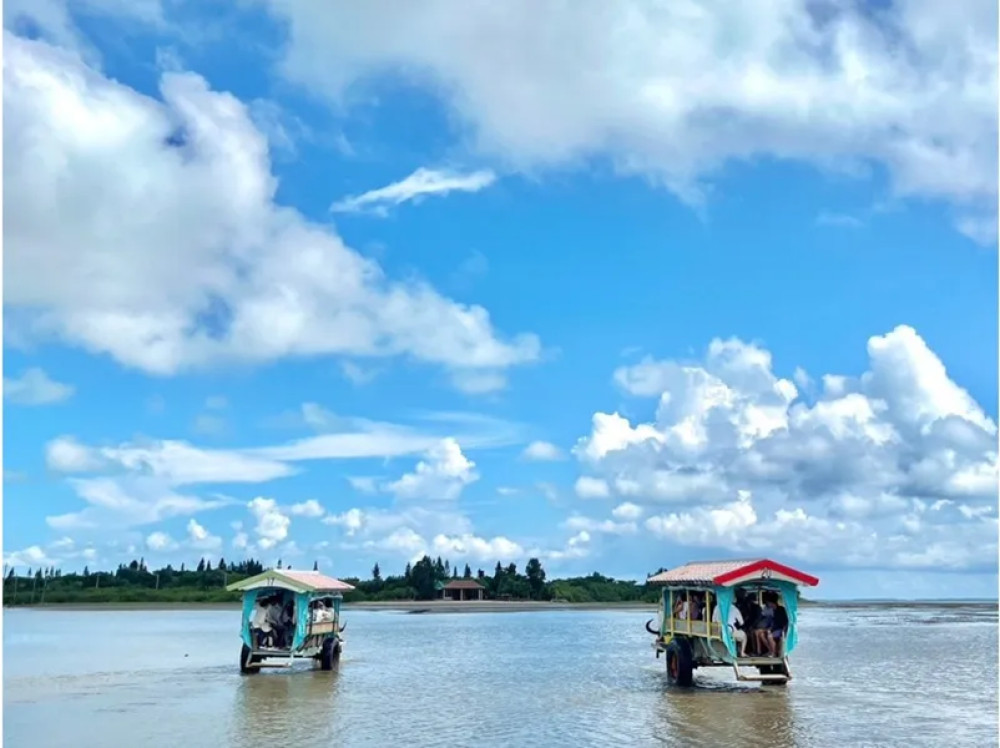Mangrove SUP or Canoe Adventure with Barasu and Yubu Islands