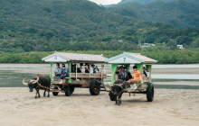IRIOMOTE ADVENTURE PiPi6