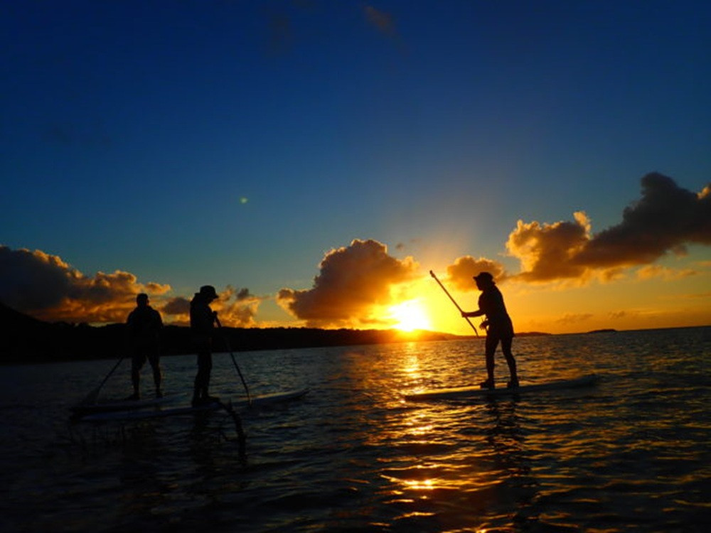 IRIOMOTE ADVENTURE PiPi