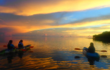 IRIOMOTE ADVENTURE PiPi13