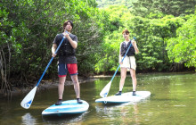 IRIOMOTE ADVENTURE PiPi6