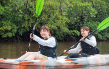 IRIOMOTE ADVENTURE PiPi8