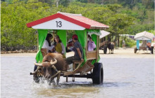 IRIOMOTE ADVENTURE PiPi1