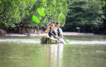 IRIOMOTE ADVENTURE PiPi9