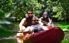 IRIOMOTE ADVENTURE PiPi5