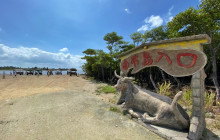 IRIOMOTE ADVENTURE PiPi2