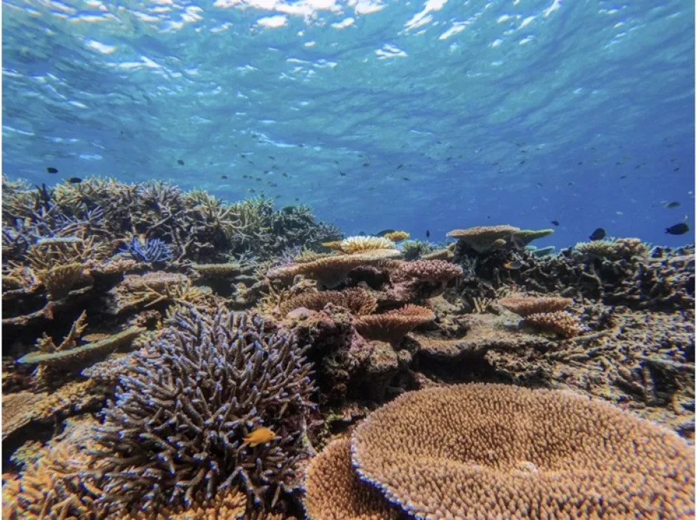 Canyoning in Omisha River & Snorkeling Near Barasu Island Adventure