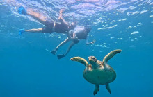 IRIOMOTE ADVENTURE PiPi16
