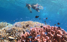 IRIOMOTE ADVENTURE PiPi17