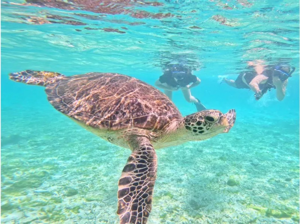 Baras Island Snorkeling & Yubu Island Sightseeing