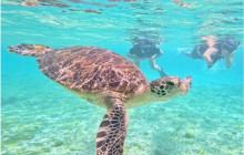 IRIOMOTE ADVENTURE PiPi1