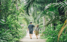 IRIOMOTE ADVENTURE PiPi8