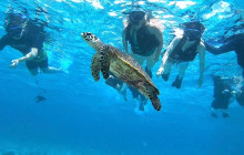 IRIOMOTE ADVENTURE PiPi9