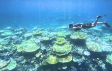 IRIOMOTE ADVENTURE PiPi14