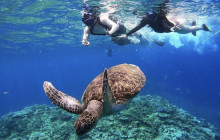IRIOMOTE ADVENTURE PiPi6