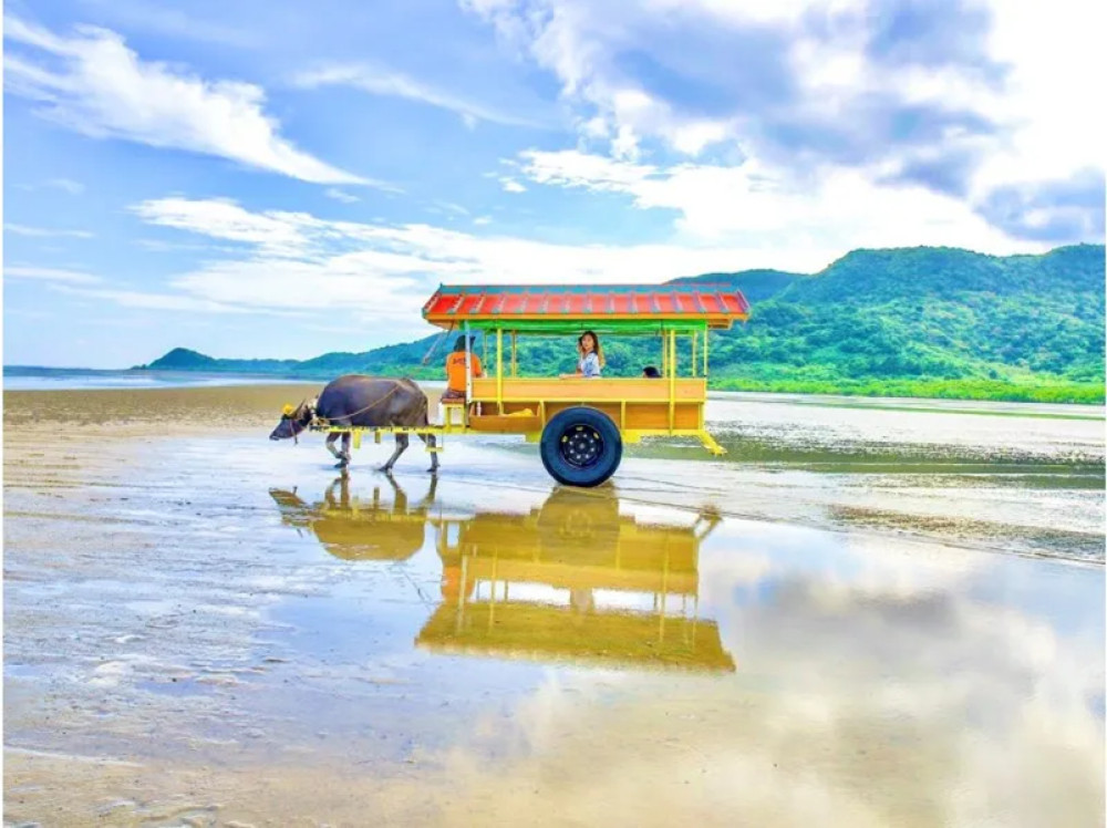 Day Trip from Ishigaki Island: Splash Canyoning and Yubu Island Sightseeing