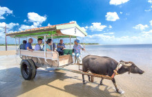 IRIOMOTE ADVENTURE PiPi5