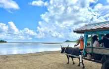 IRIOMOTE ADVENTURE PiPi11