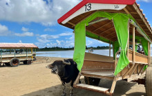 IRIOMOTE ADVENTURE PiPi14