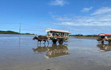 IRIOMOTE ADVENTURE PiPi15