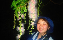 IRIOMOTE ADVENTURE PiPi3