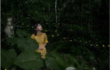 IRIOMOTE ADVENTURE PiPi1