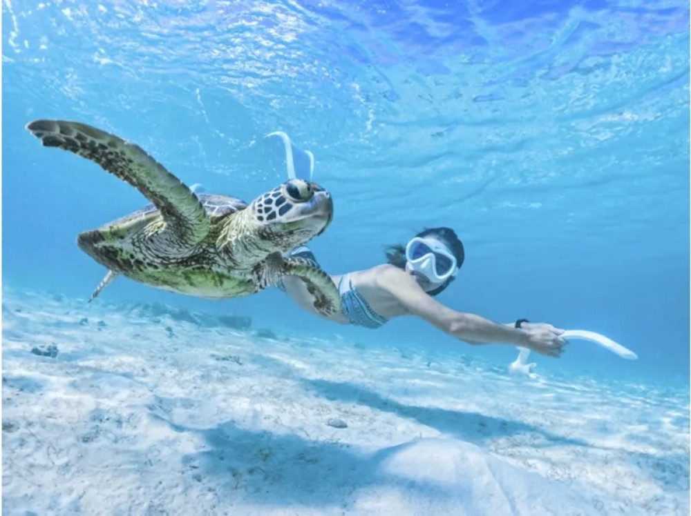 Full-Day SUP, Snorkeling, Caving & Canoeing Adventure in Miyakojima