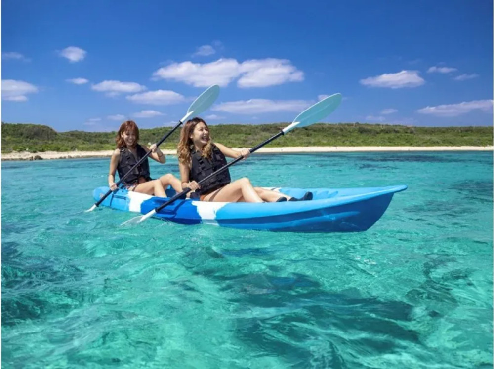 Full-Day Sea Turtle Snorkeling With SUP or Canoeing