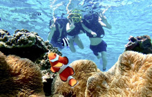 MIYAKO ADVENTURE PiPi20