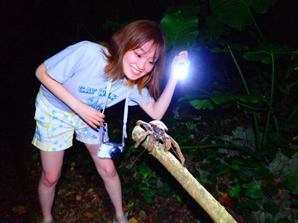 MIYAKO ADVENTURE PiPi