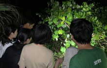 MIYAKO ADVENTURE PiPi19