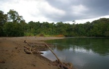 Sarapiqui River