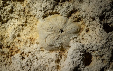 Living Dreams Mexico3