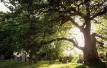 Boston Sightseeing Tours, LLC1