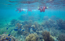 Living Dreams Mexico3