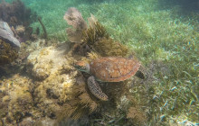 Living Dreams Mexico6