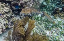 Living Dreams Mexico5