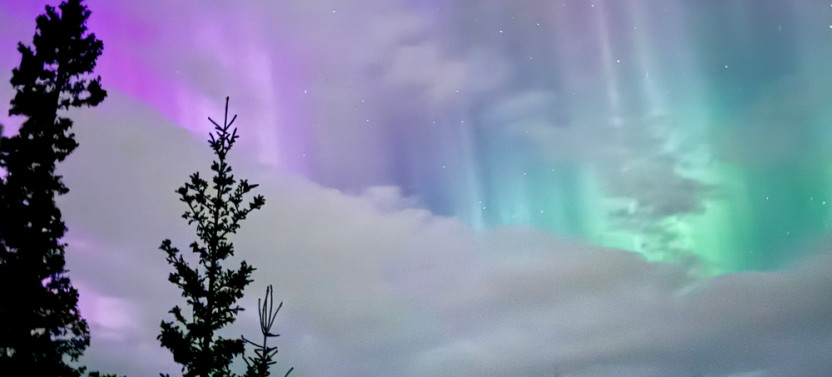 Northern Lights Snowshoe Adventure
