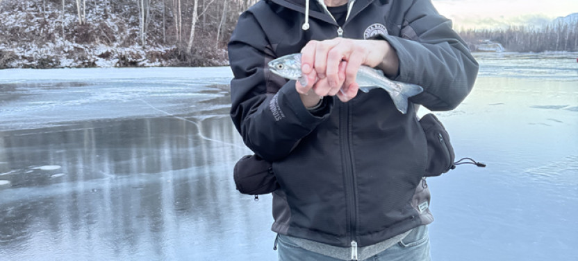 Full Day Ice Fishing