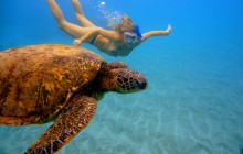 The Magic Merman Snorkel Charters8